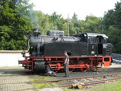 IMG_0056 (Medium)